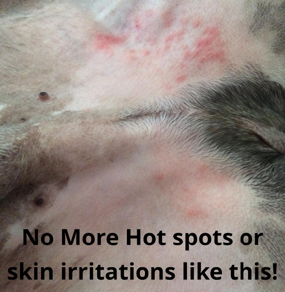 <u>FOR PETS!<br></u>Curbs Hot Spots & Other Skin Conditions, Calms Aggression