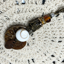 ancient echos-fossilized nautilius necklace pendant