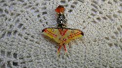 pendant-inner healing light-yellow tail