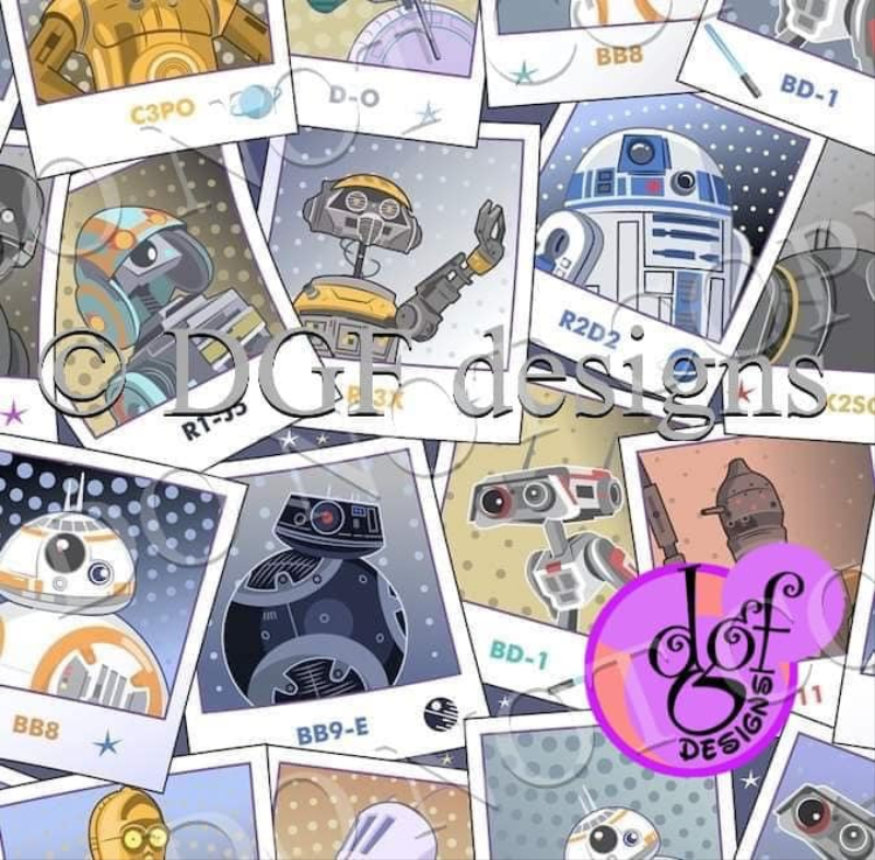 R100 Pola-Droid Small Scale