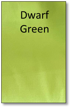 Dwarf Green