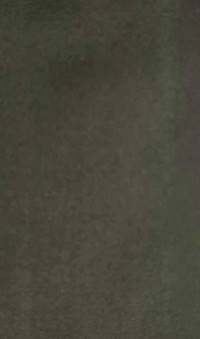 Dark Olive