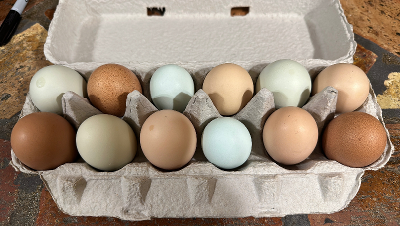 (1) dozen fresh eggs