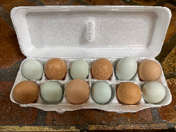 (18) Pack of fresh eggs!
