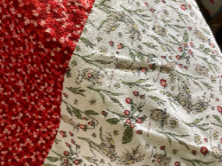 Mouse and Strawberries Flannel Petticoat Red Accent