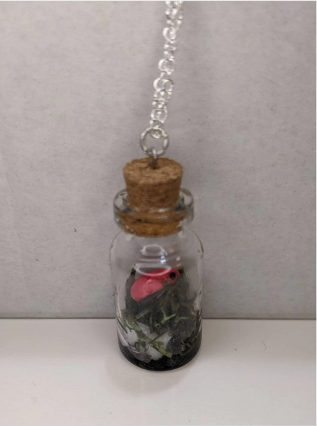 Pink Frog Terrarium Bottle Necklace