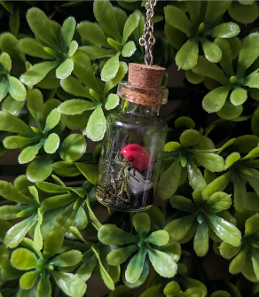 Pink Frog Terrarium Bottle Necklace