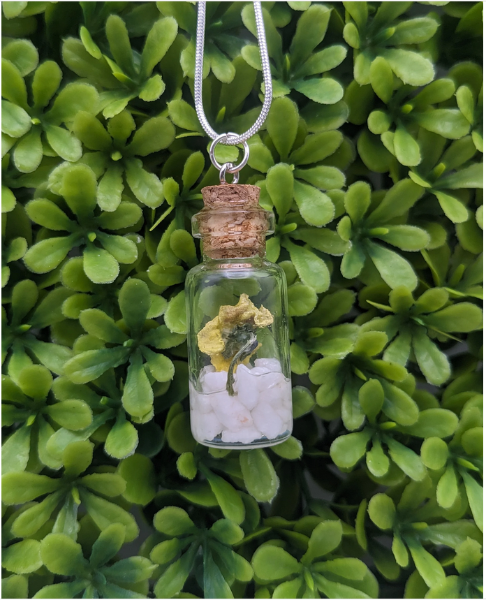 Yellow Viola Bottle Charm Necklace