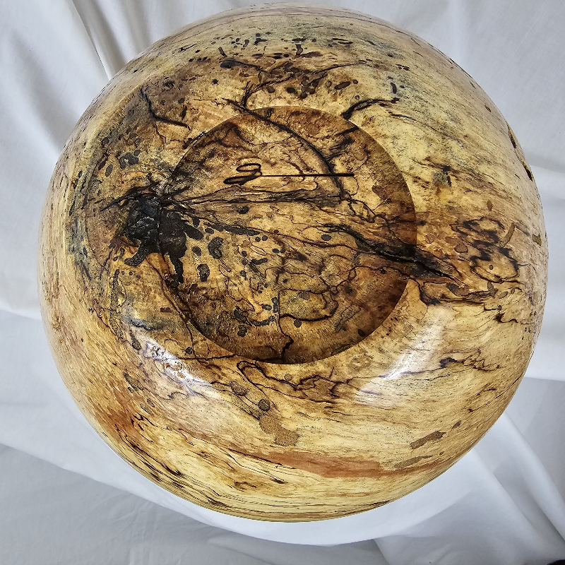 Worm Hole Spalted Maple Bowl (13" x 7")