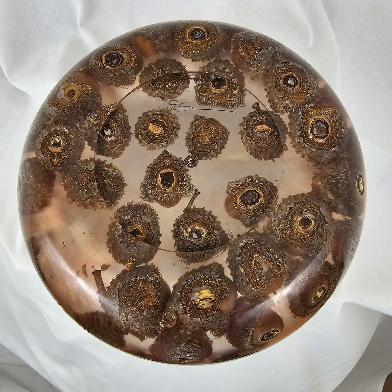 Crazy (Nutty?) Burr Oak Acorn Bowl (9" x 3")