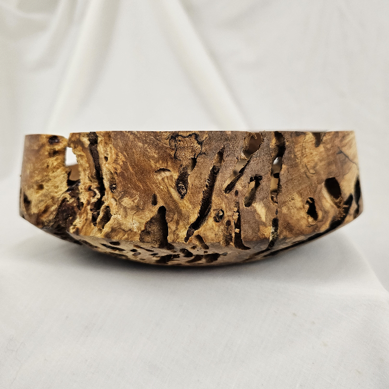 Spalted, Worm-holed, Maple Bowl (8-1/2" x 3")