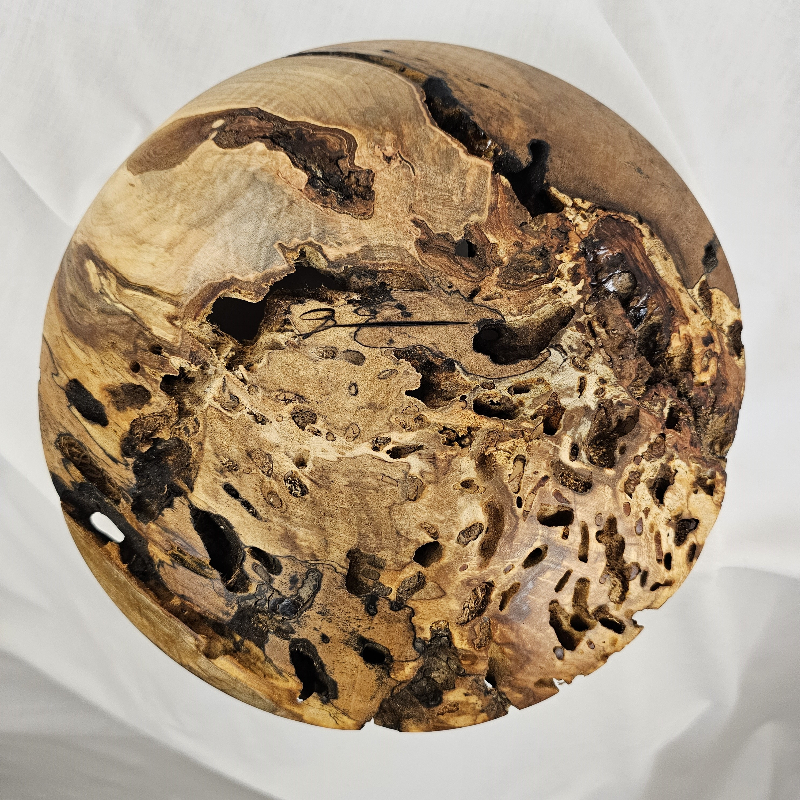 Spalted, Worm-holed, Maple Bowl (8-1/2" x 3")