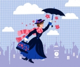 Practically Perfect Adult Blanket Topper Regular Minky