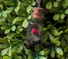 Pink Frog Terrarium Bottle Necklace