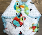Hoo Minky /w aqua cotton velour - newborn